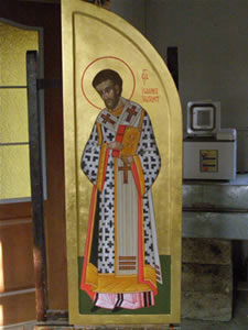 Druh kdlo - sv. Jan Zlatost